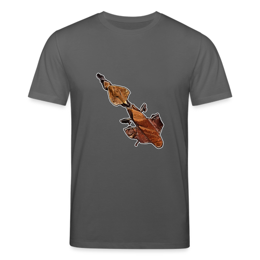 Männer Stanley & Stella Bio-T-Shirt Phyllocrania paradoxa female - Anthrazit