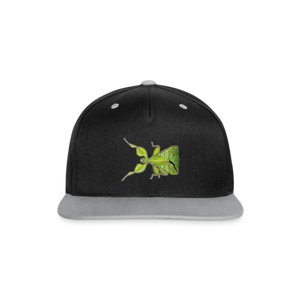 Cappy Kontrast Snapback Phyllium philippinicum female - Schwarz/Grau