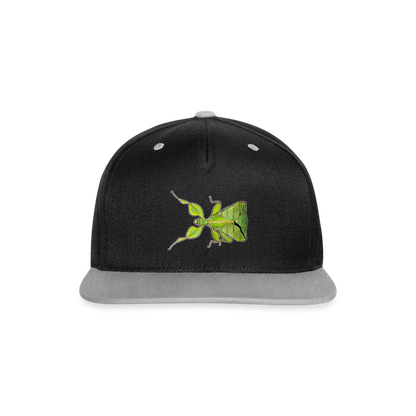 Cappy Kontrast Snapback Phyllium philippinicum female - Schwarz/Grau