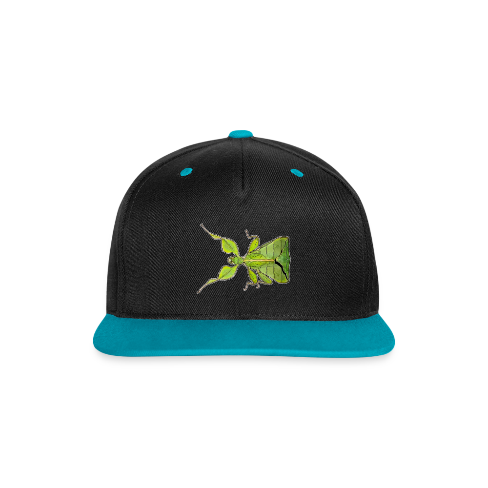 Cappy Kontrast Snapback Phyllium philippinicum female - Schwarz/Türkis