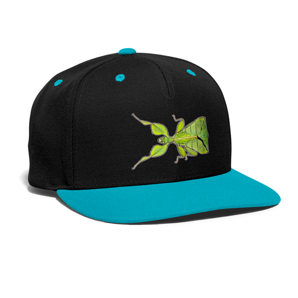 Cappy Kontrast Snapback Phyllium philippinicum female - Schwarz/Türkis