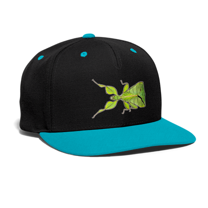 Cappy Kontrast Snapback Phyllium philippinicum female - Schwarz/Türkis