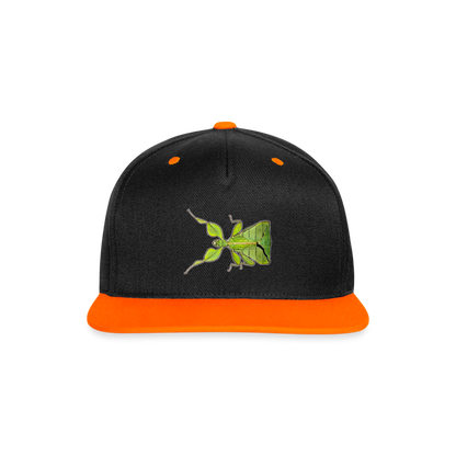 Cappy Kontrast Snapback Phyllium philippinicum female - Schwarz/Neonorange