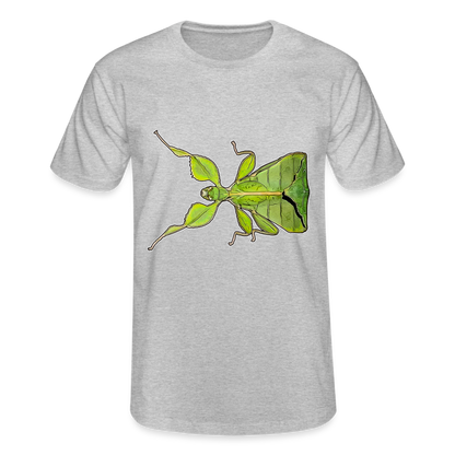 Männer Fruit of the Loom T-Shirt Phyllium philippinicum female - Grau meliert