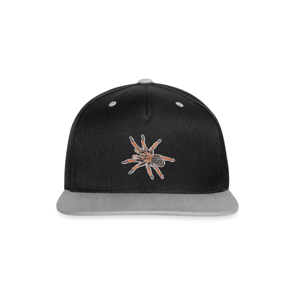 Cappy Kontrast Snapback Brachypelma emilia - Schwarz/Grau