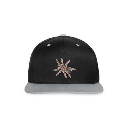Cappy Kontrast Snapback Brachypelma emilia - Schwarz/Grau