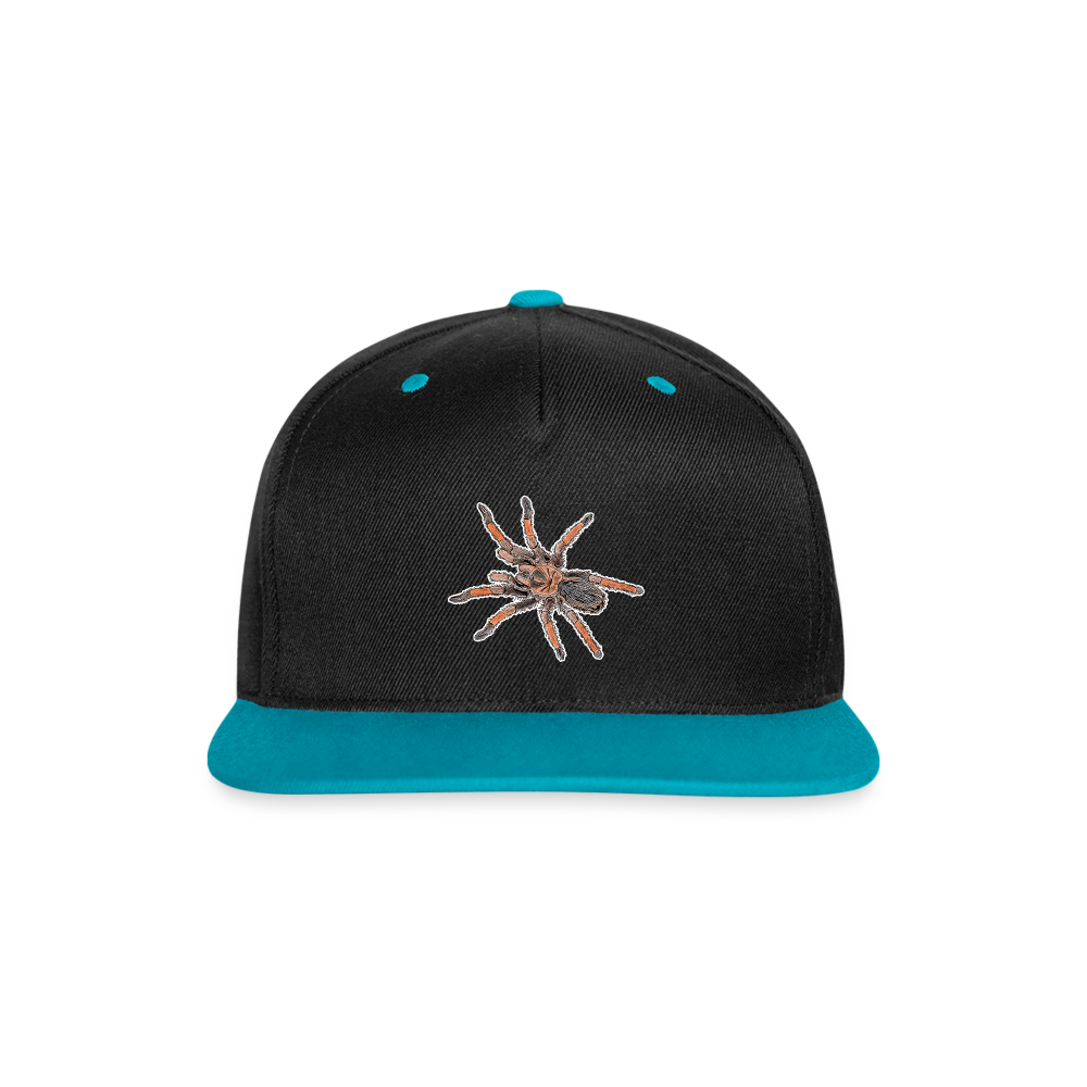 Cappy Kontrast Snapback Brachypelma emilia - Schwarz/Türkis