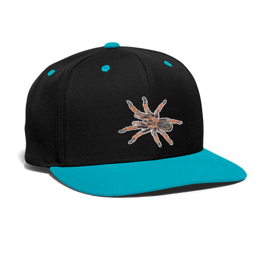 Cappy Kontrast Snapback Brachypelma emilia - Schwarz/Türkis