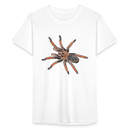 Männer Fruit of the Loom T-Shirt Brachypelma emilia - weiß