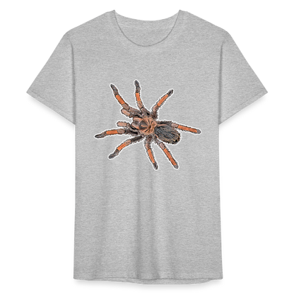 Männer Fruit of the Loom T-Shirt Brachypelma emilia - Grau meliert