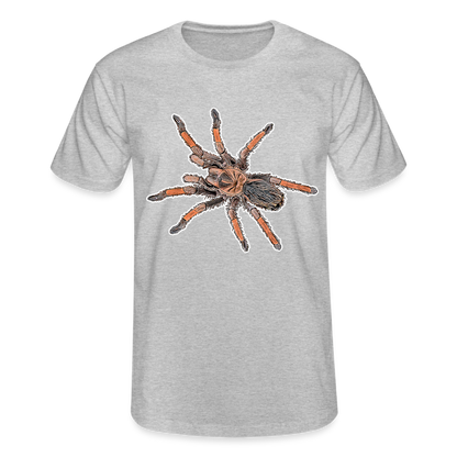 Männer Fruit of the Loom T-Shirt Brachypelma emilia - Grau meliert
