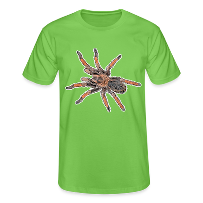 Männer Fruit of the Loom T-Shirt Brachypelma emilia - Hellgrün