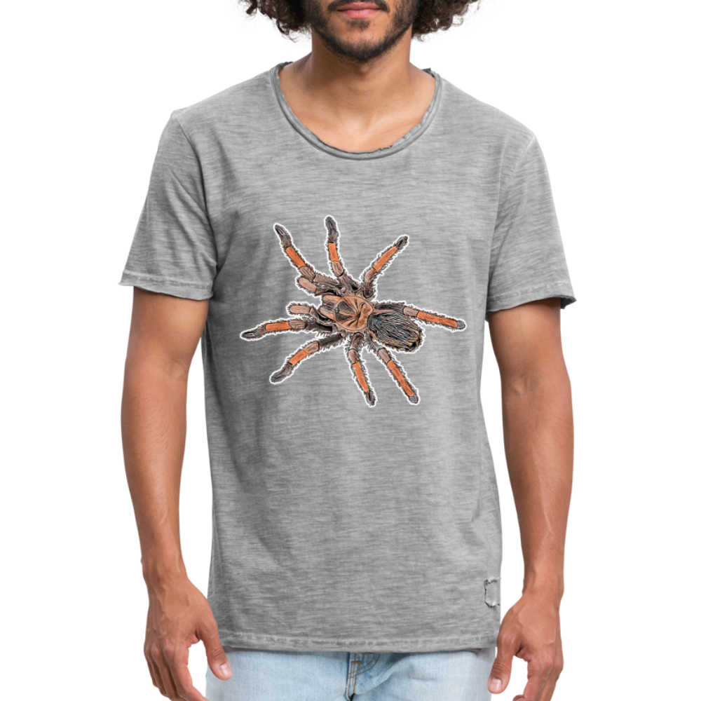 Männer Vintage T-Shirt Brachypelma emilia - Vintage Grau