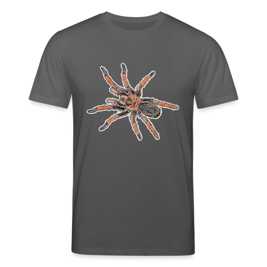 Männer Stanley & Stella Bio-T-Shirt Brachypelma emilia - Anthrazit