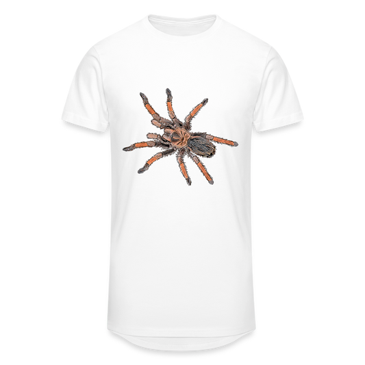 Männer Urban Longshirt Brachypelma emilia - weiß