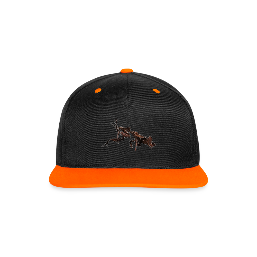 Cappy Kontrast Snapback Phyllocrania paradoxa female 2 - Schwarz/Neonorange
