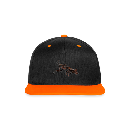 Cappy Kontrast Snapback Phyllocrania paradoxa female 2 - Schwarz/Neonorange