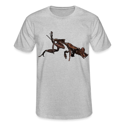 Männer Fruit of the Loom T-Shirt Phyllocrania paradoxa female 2 - Grau meliert