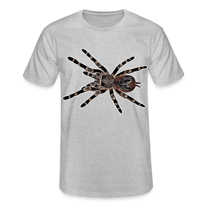 Männer Fruit of the Loom T-Shirt Acanthoscurria geniculata - Grau meliert