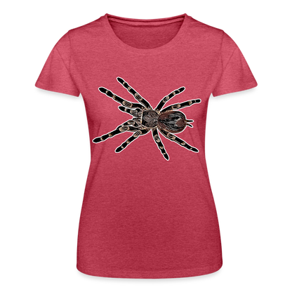 Frauen Fruit of the Loom T-Shirt Acanthoscurria geniculata - Rot meliert