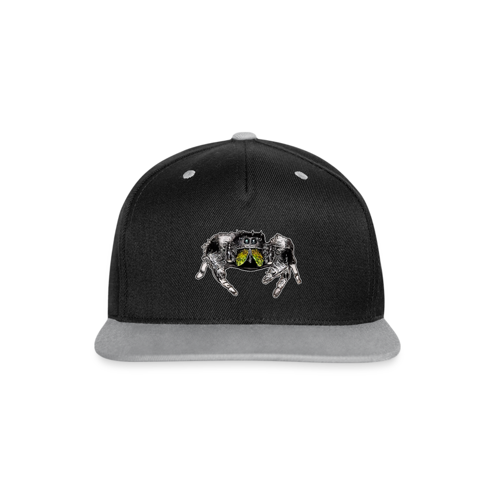 Cappy Kontrast Snapback Phidippus regius Rastafari male - Schwarz/Grau