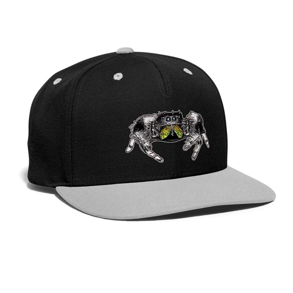 Cappy Kontrast Snapback Phidippus regius Rastafari male - Schwarz/Grau