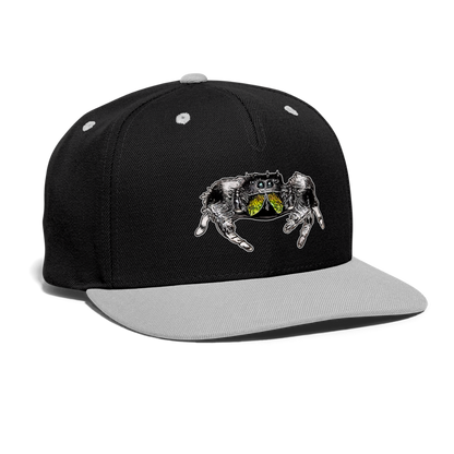Cappy Kontrast Snapback Phidippus regius Rastafari male - Schwarz/Grau