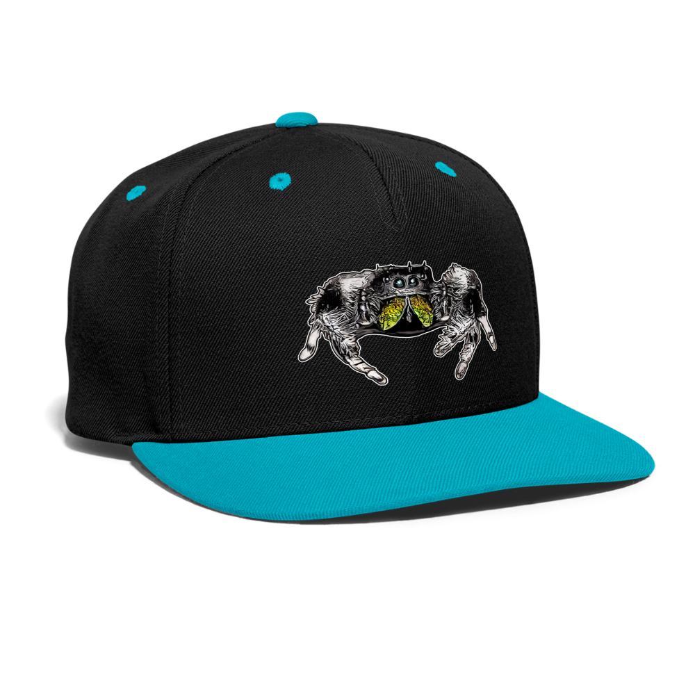 Cappy Kontrast Snapback Phidippus regius Rastafari male - Schwarz/Türkis