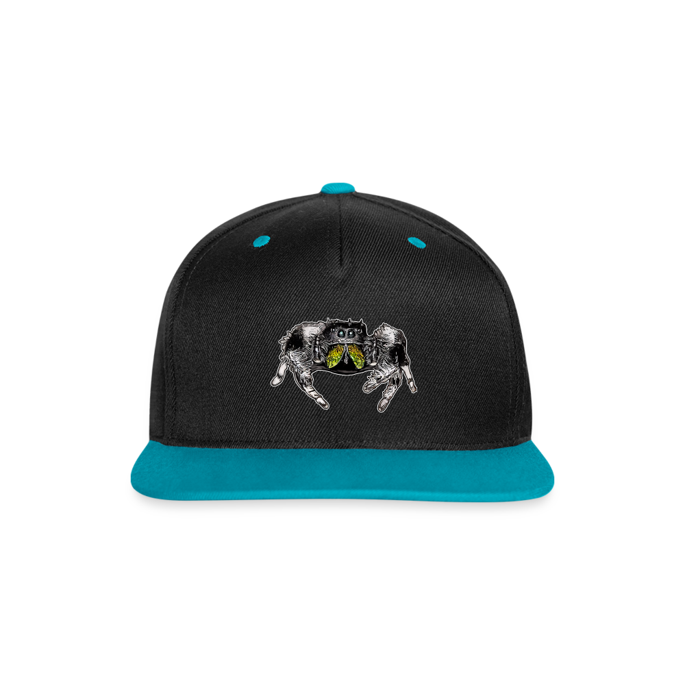 Cappy Kontrast Snapback Phidippus regius Rastafari male - Schwarz/Türkis