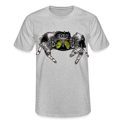 Männer Fruit of the Loom T-Shirt Phidippus regius Rastafari male - Grau meliert