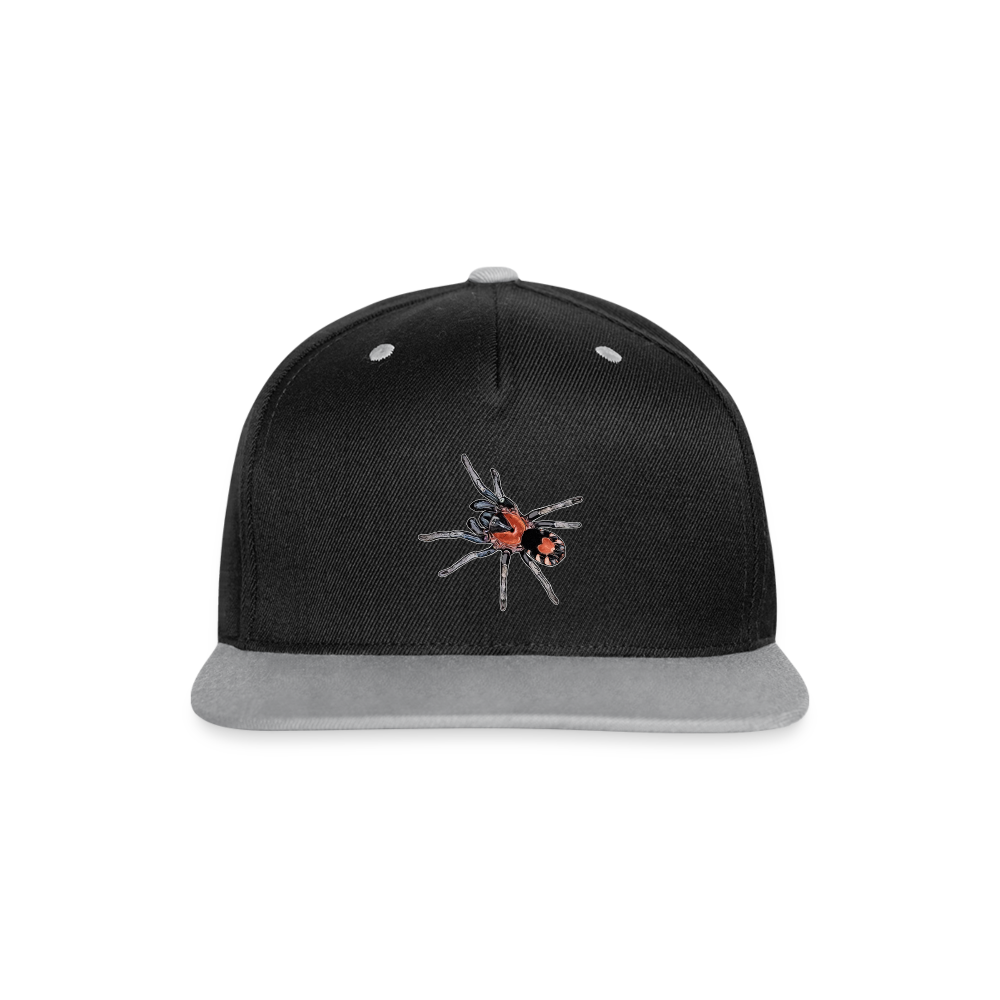 Cappy Kontrast Snapback Cyriocosmus elegans - Schwarz/Grau