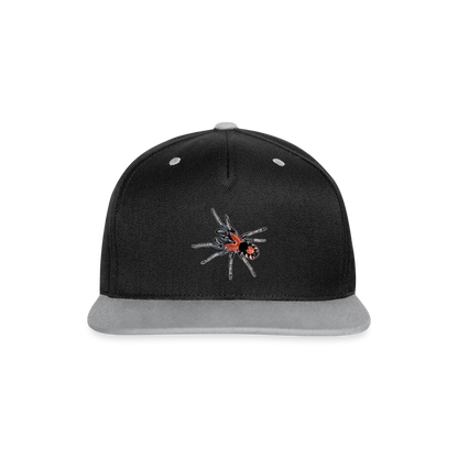 Cappy Kontrast Snapback Cyriocosmus elegans - Schwarz/Grau