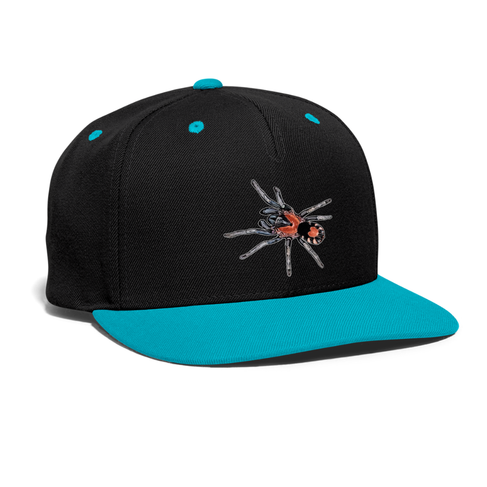 Cappy Kontrast Snapback Cyriocosmus elegans - Schwarz/Türkis