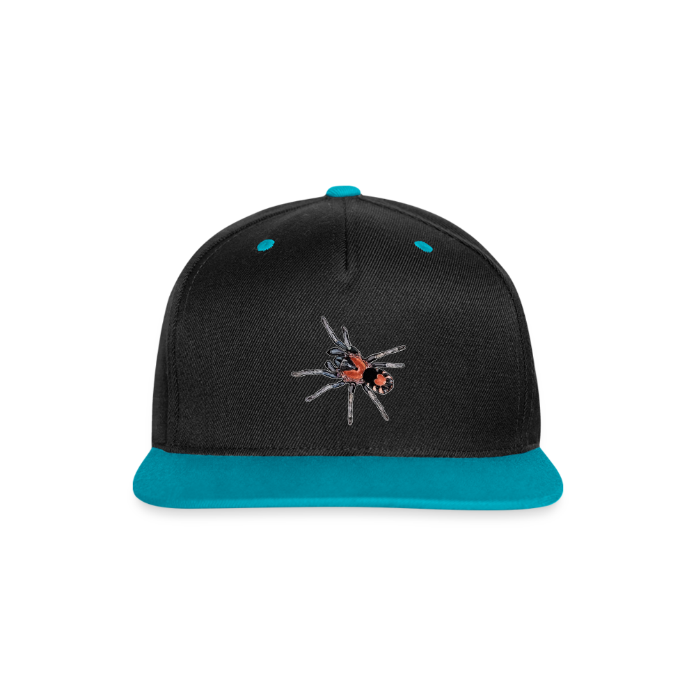 Cappy Kontrast Snapback Cyriocosmus elegans - Schwarz/Türkis