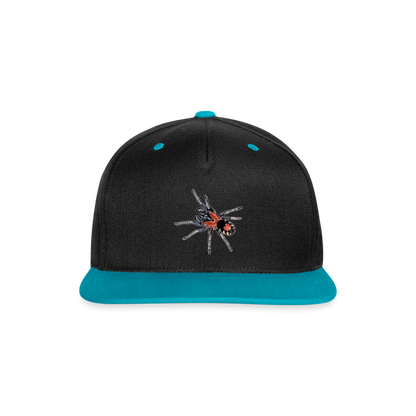 Cappy Kontrast Snapback Cyriocosmus elegans - Schwarz/Türkis