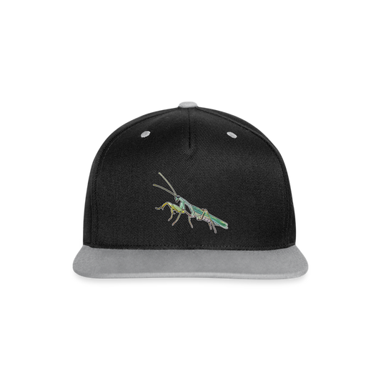 Cappy Kontrast Snapback Sphodromantis lineola - Schwarz/Grau