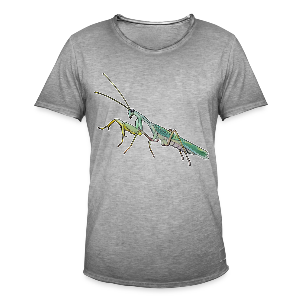 Männer Vintage T-Shirt Sphodromantis lineola male - Vintage Grau