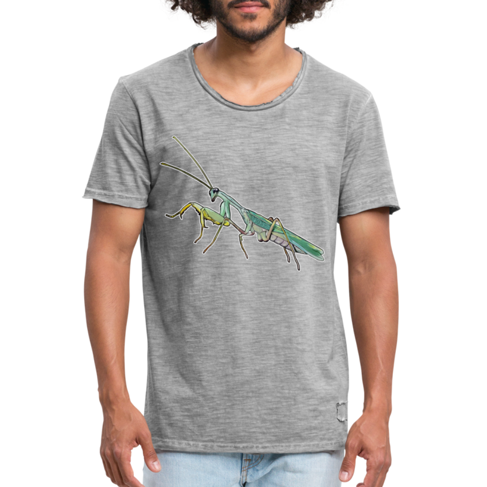 Männer Vintage T-Shirt Sphodromantis lineola male - Vintage Grau