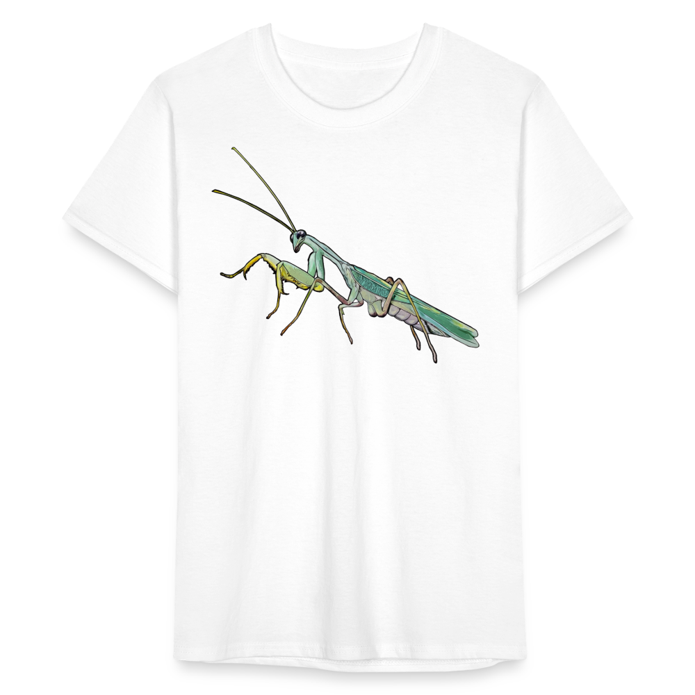 Männer Fruit of the Loom T-Shirt Sphodromantis lineola male - weiß