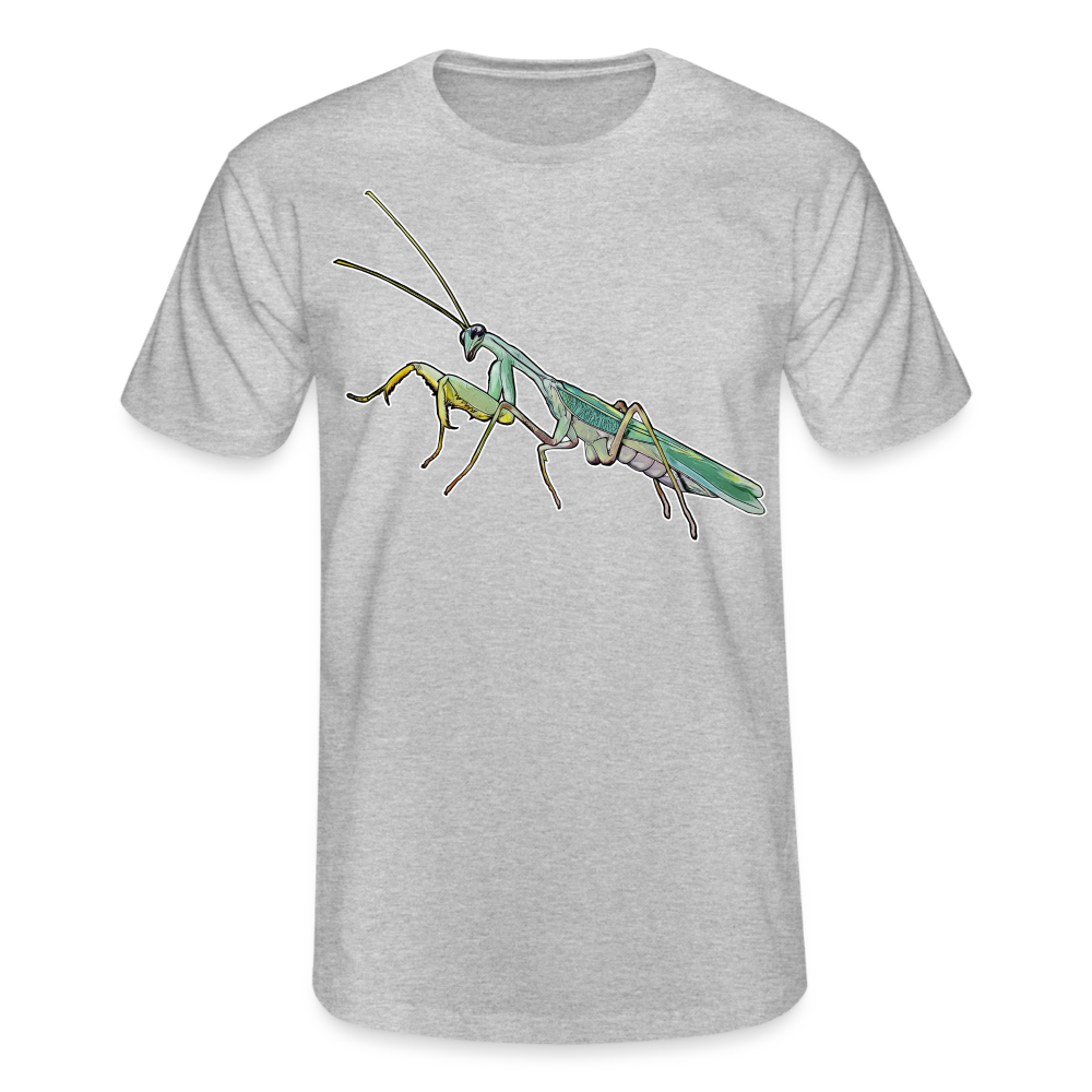 Männer Fruit of the Loom T-Shirt Sphodromantis lineola male - Grau meliert