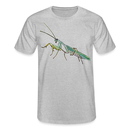 Männer Fruit of the Loom T-Shirt Sphodromantis lineola male - Grau meliert