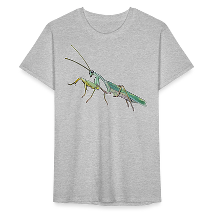 Männer Fruit of the Loom T-Shirt Sphodromantis lineola male - Grau meliert