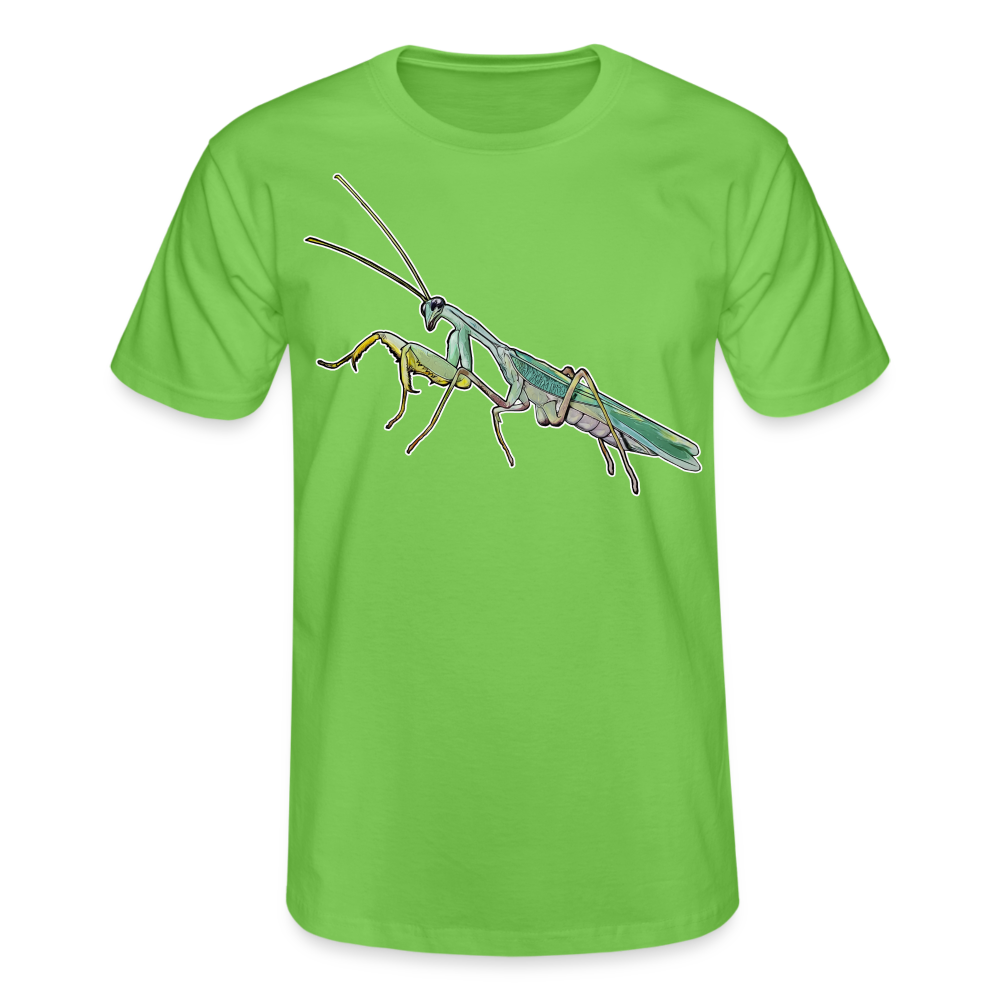 Männer Fruit of the Loom T-Shirt Sphodromantis lineola male - Hellgrün