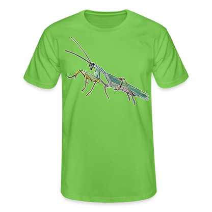 Männer Fruit of the Loom T-Shirt Sphodromantis lineola male - Hellgrün