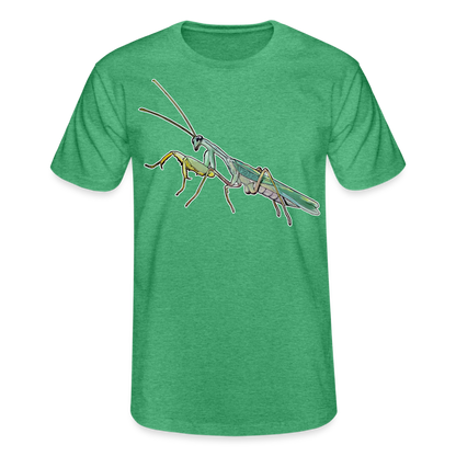 Männer Fruit of the Loom T-Shirt Sphodromantis lineola male - Grün meliert