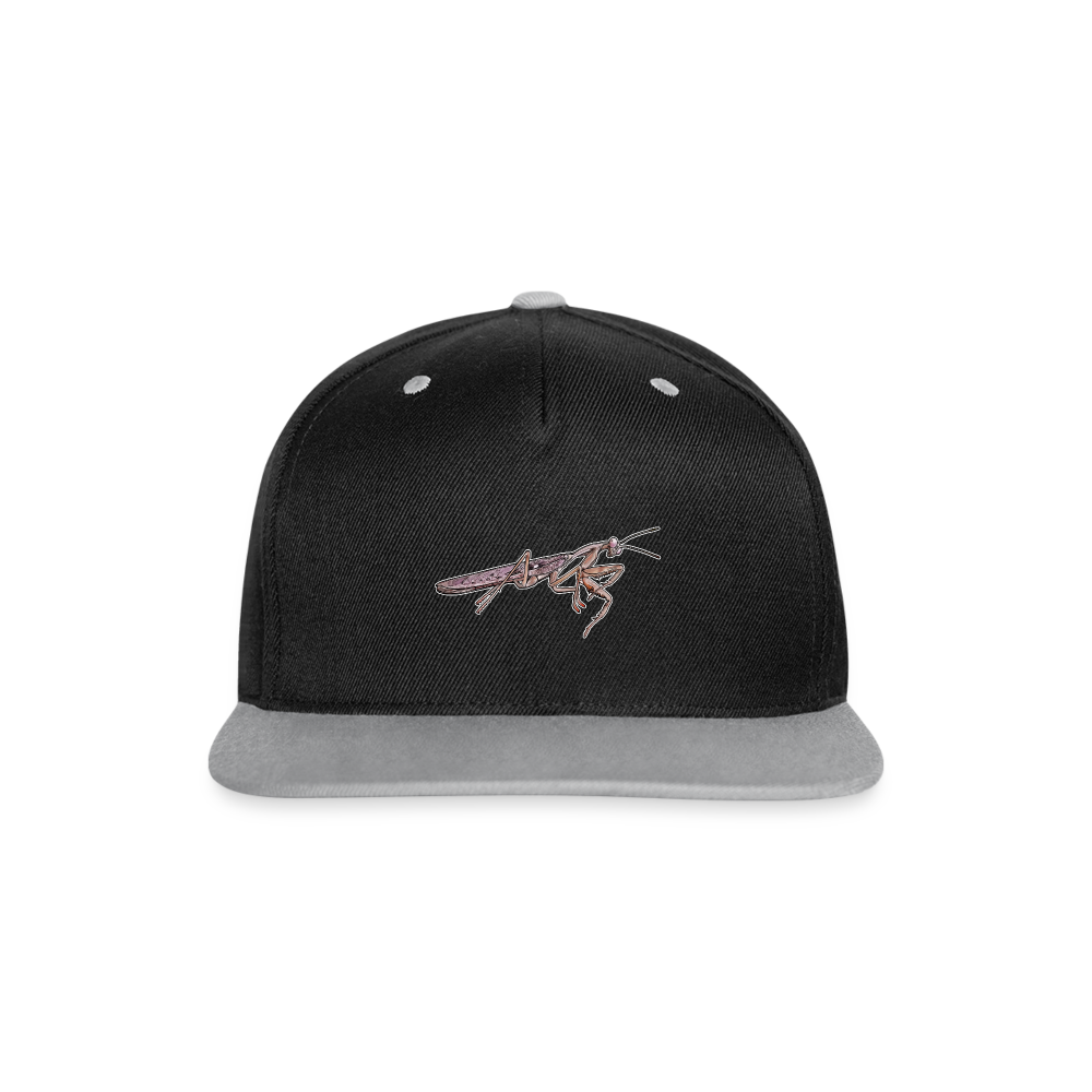 Cappy Kontrast Snapback Rhombodera kirbyi male - Schwarz/Grau