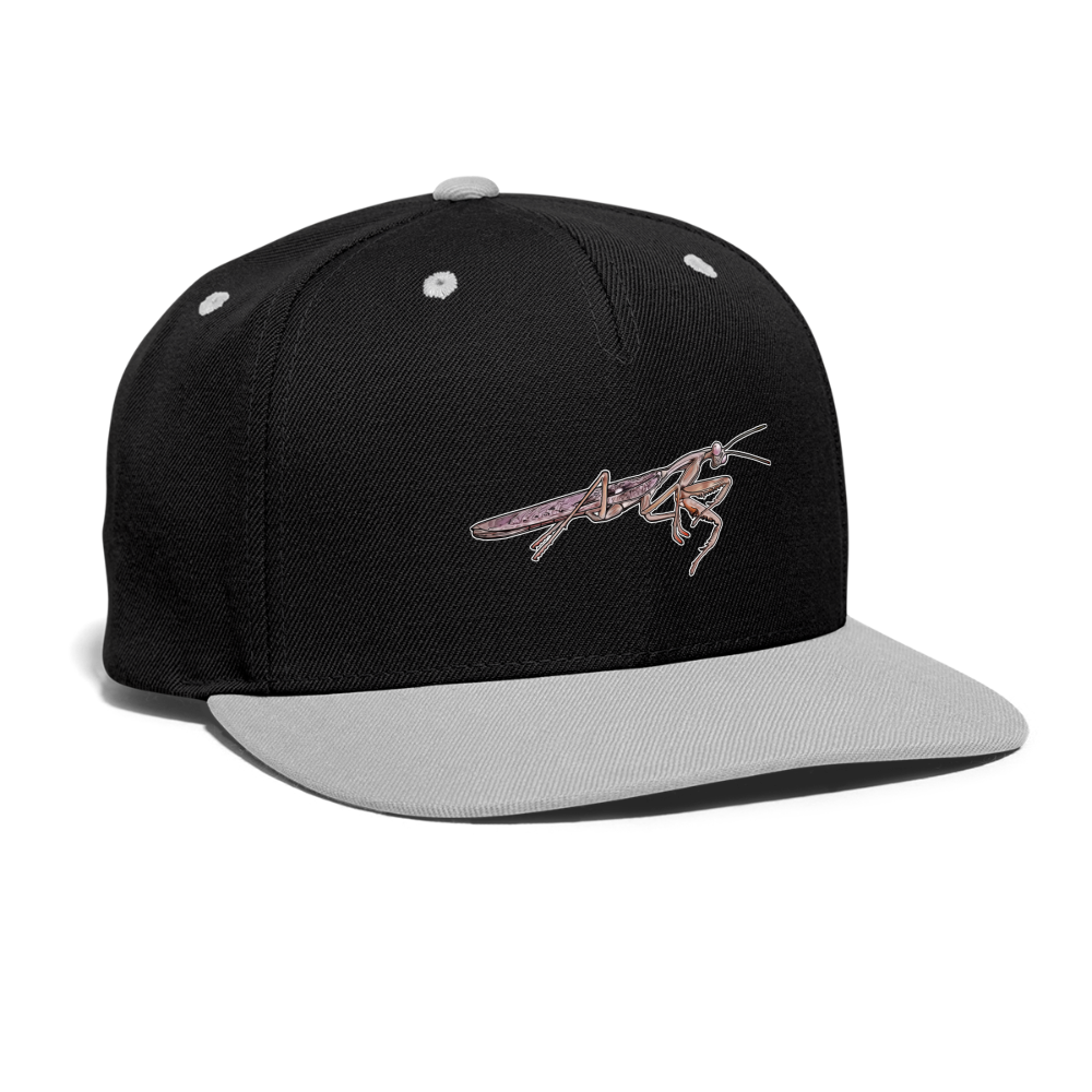 Cappy Kontrast Snapback Rhombodera kirbyi male - Schwarz/Grau