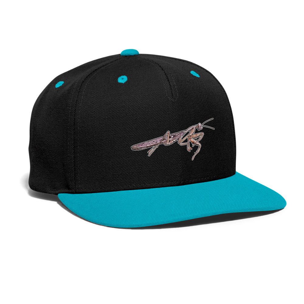 Cappy Kontrast Snapback Rhombodera kirbyi male - Schwarz/Türkis