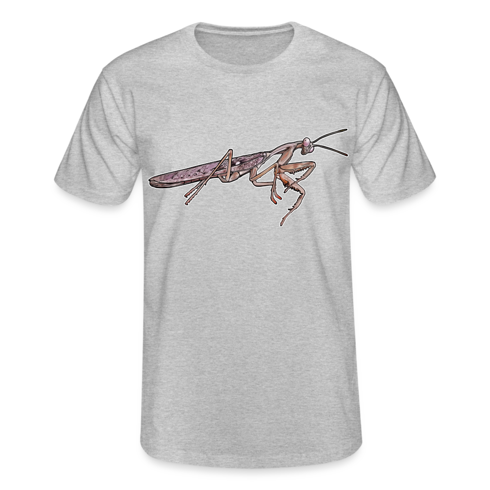 Männer Fruit of the Loom T-Shirt Rhombodera kirbyi male - Grau meliert