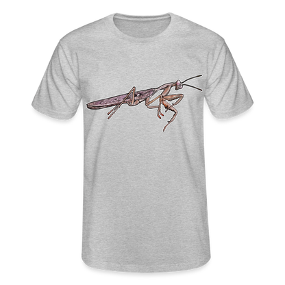 Männer Fruit of the Loom T-Shirt Rhombodera kirbyi male - Grau meliert